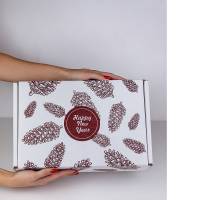 Коробка с откидной крышкой Шишки 31,5x21,5x8 см белая