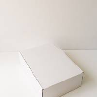 Коробка с откидной крышкой 33x23x10 см белый