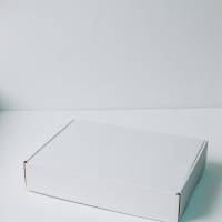 Коробка с откидной крышкой 30x22x6 см белая